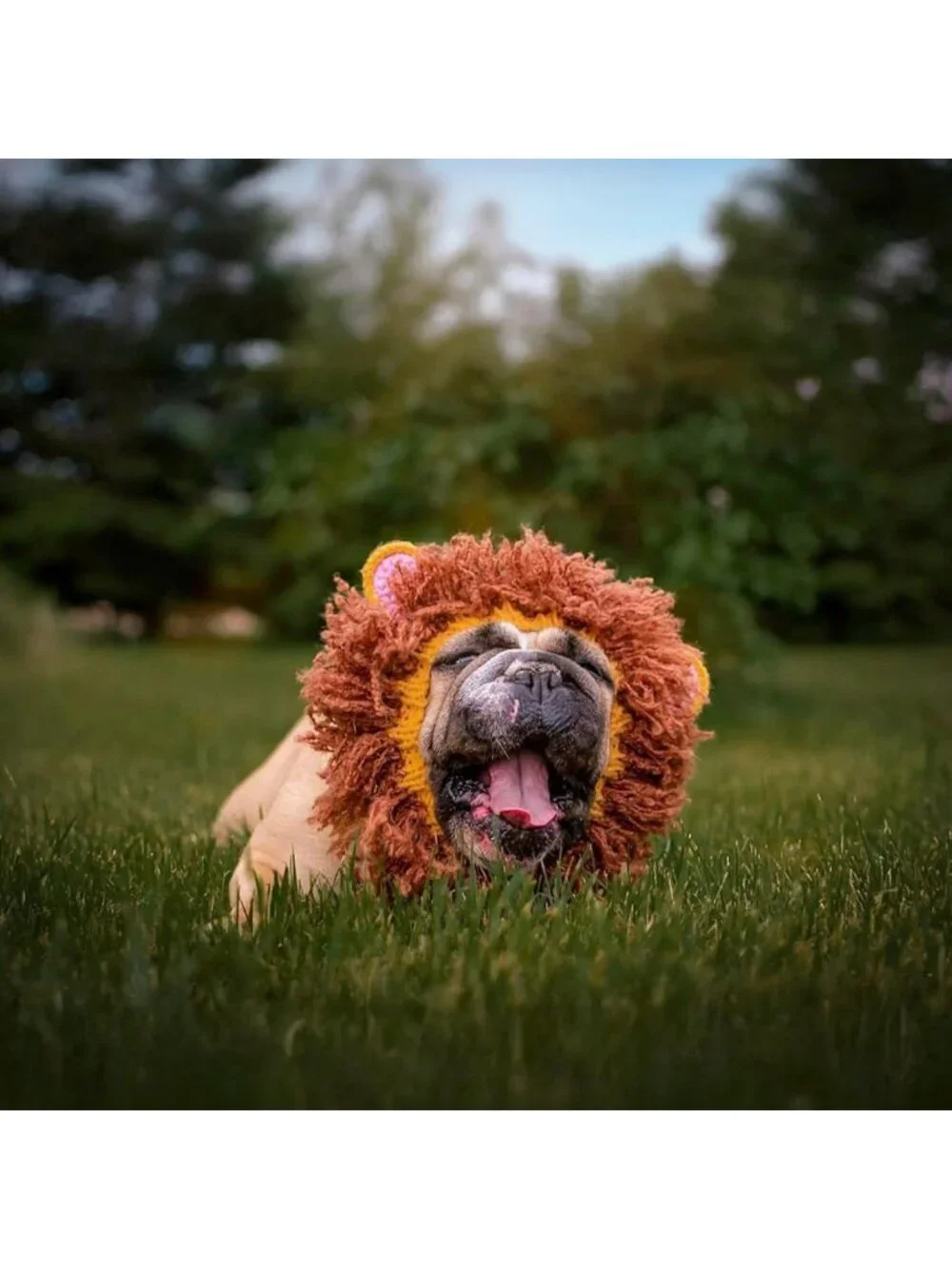 Cozy Knit Lion Mane Dog Snood - Warm Ear Wrap for Pets, Halloween & Winter